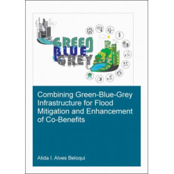 Combining Green-Blue-Grey Infrastructure for Flood Mitigation and Enhancement of Co-Benfits
