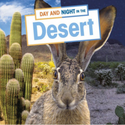 Day and Night in the Desert