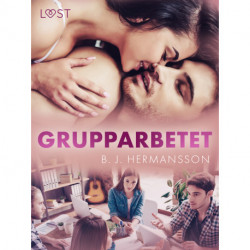 Grupparbetet - erotisk novell