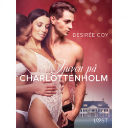 Tjuven på Charlottenholm - erotisk spänningsnovell