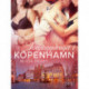 Juristuppdraget i Köpenhamn - erotisk novell