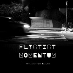 Flygtigt momentum