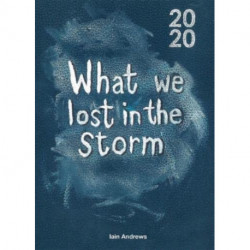 What We Lost In The Storm