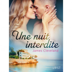 Une nuit interdite - une nouvelle érotique