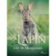 Le Lapin