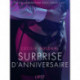 Surprise d’anniversaire – Une nouvelle érotique
