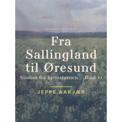 Fra Sallingland til Øresund: Studier fra hjemstavnen. Bind 6