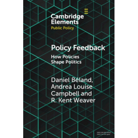 Policy Feedback: How Policies Shape Politics