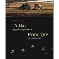 Rensdyr: fra fjeld til fad