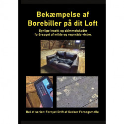 Bekæmpelse af Borebiller på dit Loft: Synlige insekt og skimmelskader forårsaget af milde og regnvåde vintre.