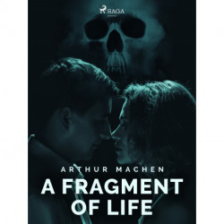 A Fragment of Life