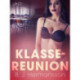 Klasse-reunion – erotisk novelle