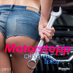 Motorstopp - erotisk novell