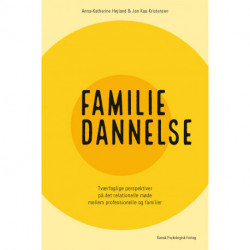 Familiedannelse: Tværfaglige perspektiver på det relationelle møde mellem professionelle og familier