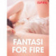 Fantasi for fire - erotisk novelle
