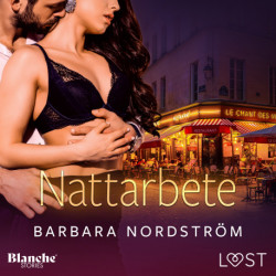 Nattarbete – erotisk novell