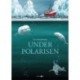 Under polarisen