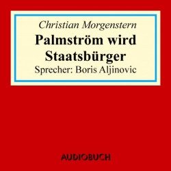 Palmström wird Staatsbürger