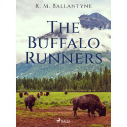 The Buffalo Runners