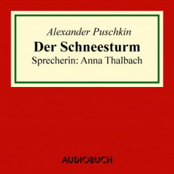 Der Schneesturm