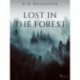 Lost in the Forest