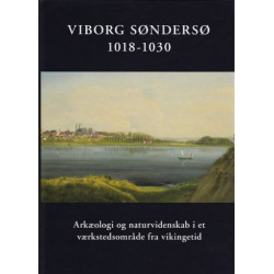 Viborg Søndersø 1018-1030: Arkæologi og naturvidenskab i et værkstedsområde fra vikingetid