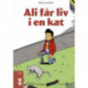 Ali får liv i en kat
