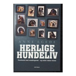 Herlige hundeliv: Førerhund med maskingevær - og andre vakse vovser