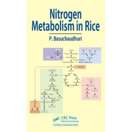 Nitrogen Metabolism in Rice