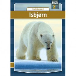 Isbjørn
