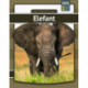 Elefant