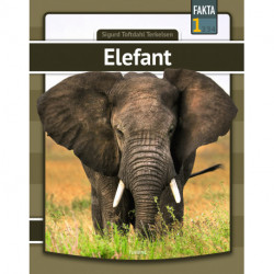 Elefant