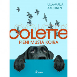 Colette, pieni musta koira