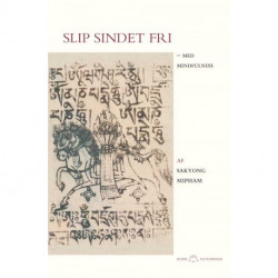 Slip sindet fri: – med mindfulness