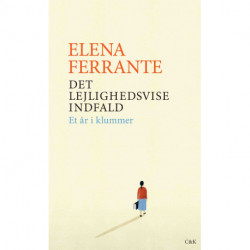 Det lejlighedsvise indfald: Et år i klummer