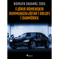 Fjórir rúmenskir rummungsþjófar í orlofi í Danmörku