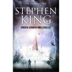 Vinden gennem nøglehullet: En roman om det mørke tårn