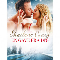 En gave fra dig - Erotisk julenovelle