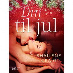 Din til jul – erotisk novelle