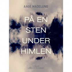 På en sten under himlen