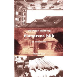 Flanørens blik: Essayroman