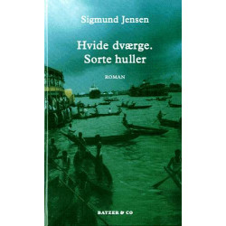 Hvide dværge. Sorte huller: Roman