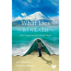 What Lies Beneath: How Organisations Really Work