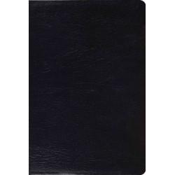 ESV Study Bible, Personal Size