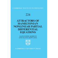 Attractors of Hamiltonian Nonlinear Partial Differential Equations