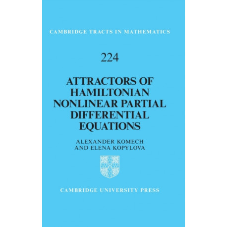 Attractors of Hamiltonian Nonlinear Partial Differential Equations