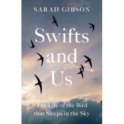 Swifts and Us: The Life of the Bird That Sleeps in the Sky