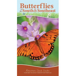 Butterflies of the South & Southeast: Your Way to Easily Identify Butterflies