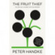 The Fruit Thief: or, One-Way Journey into the Interior: A Novel