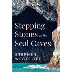 Stepping Stones to the Seal Caves